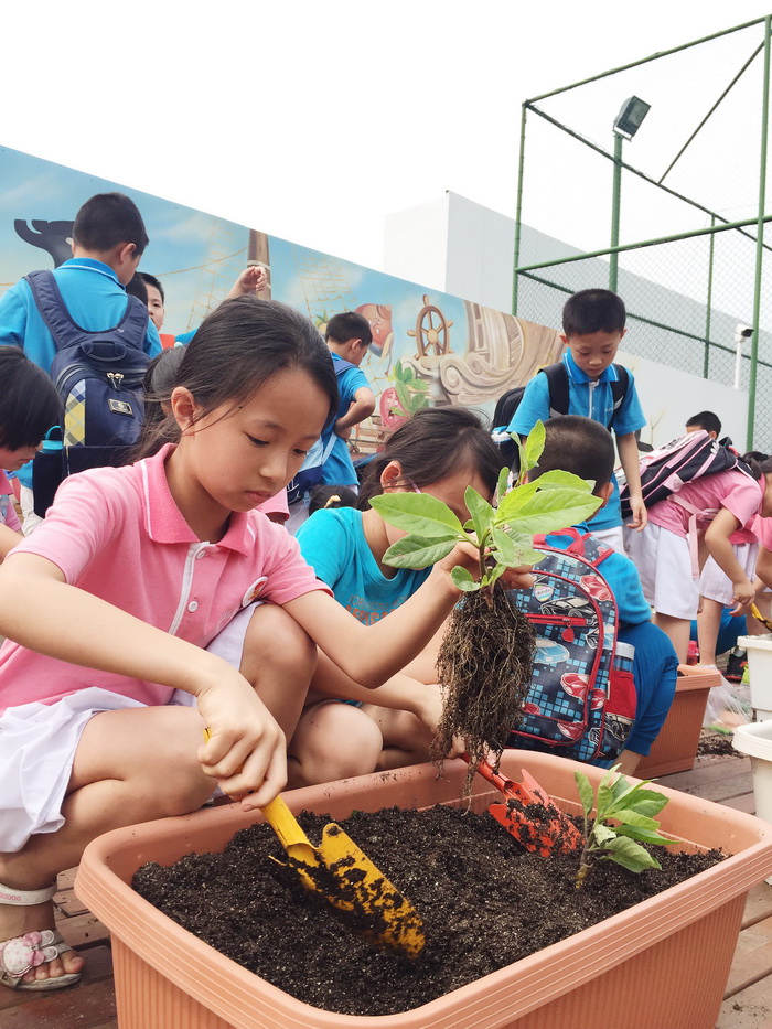 城市农耕的诗意回归 成都银泰城商顶梦田亲子农场的教育实践